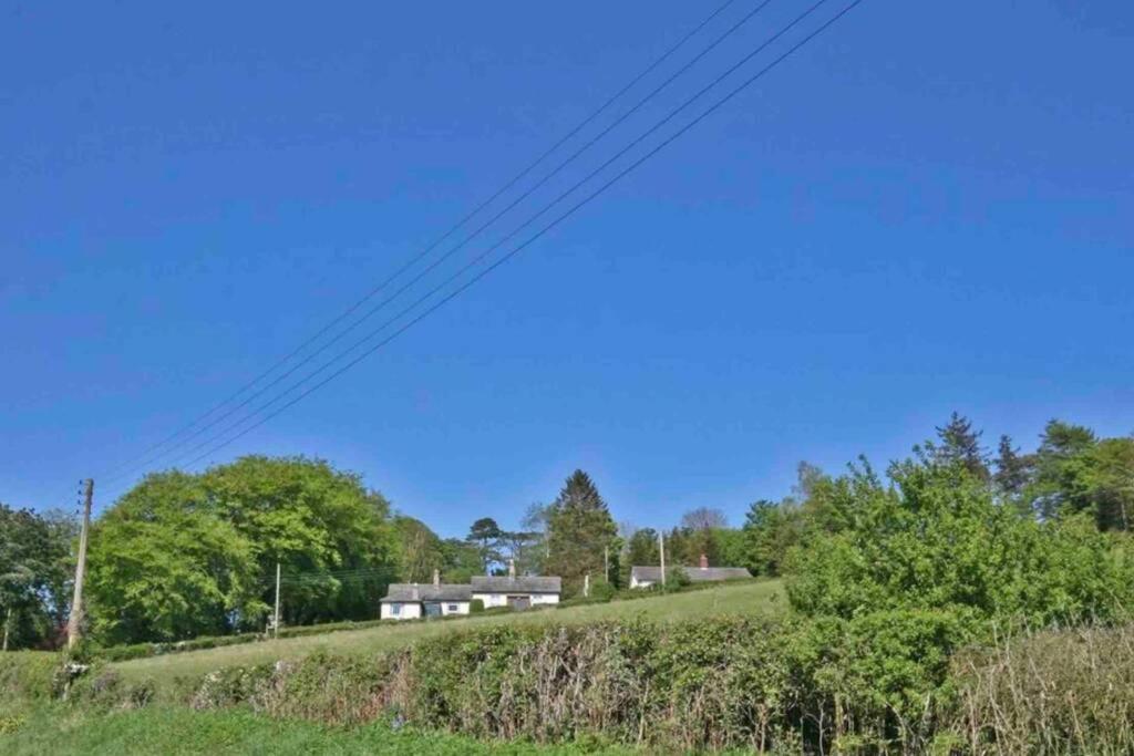 Hilltop Cottage Thropton Buitenkant foto